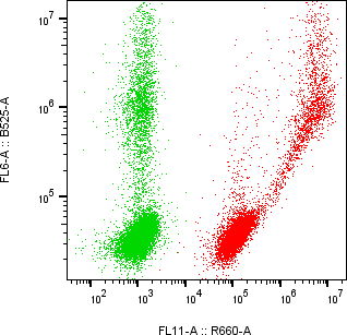 Rabbit-anti TGFBR2 monoclonal antibody