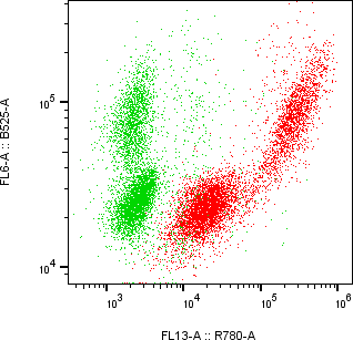 Rabbit-anti CTHRC1 monoclonal antibody