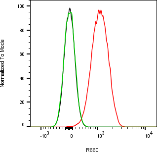 Rabbit-anti MMP9 monoclonal antibody