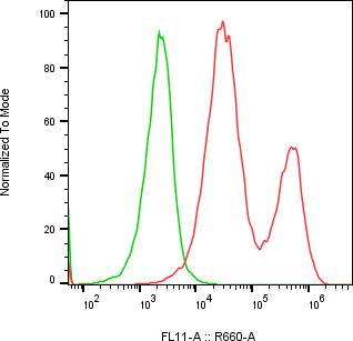 Rabbit-anti CGB3 monoclonal antibody