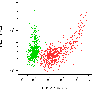 Rabbit-anti EPGN monoclonal antibody