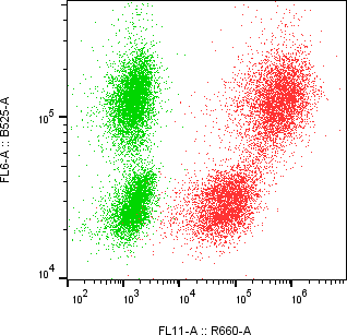 Rabbit-anti GM-CSF monoclonal antibody