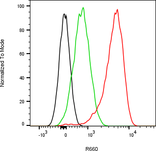 Rabbit-anti CDH17 monoclonal antibody
