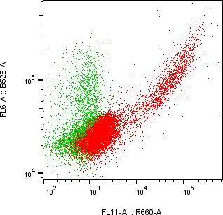Rabbit-anti DKK1 monoclonal antibody