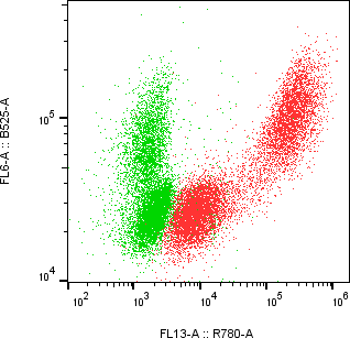 Rabbit-anti LYZ monoclonal antibody