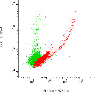 Rabbit-anti KIRREL1 monoclonal antibody