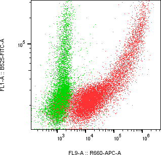 Rabbit-anti SPINT1 monoclonal antibody