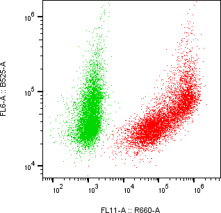 Rabbit-anti DCBLD1 monoclonal antibody