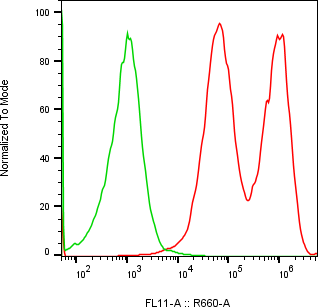 Rabbit-anti CST6 monoclonal antibody