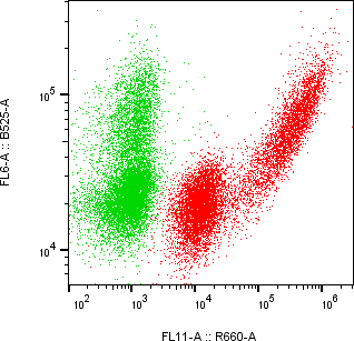 Rabbit-anti CSN3 monoclonal antibody