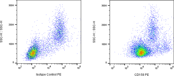 Rabbit-anti KIR2DL1 monoclonal antibody
