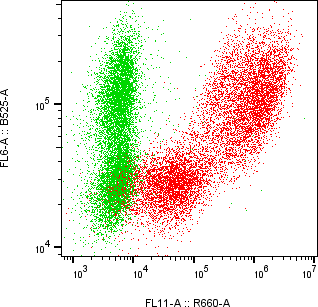 Rabbit-anti LYG2 monoclonal antibody