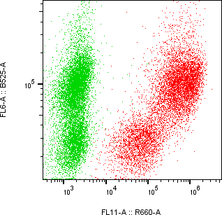 Rabbit-anti PNLIP monoclonal antibody
