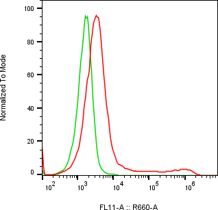 Rabbit-anti BPIFA2 monoclonal antibody