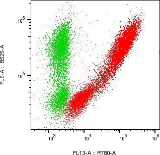 Rabbit-anti VTN monoclonal antibody