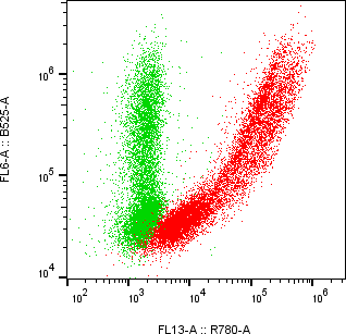 Rabbit-anti CLU monoclonal antibody