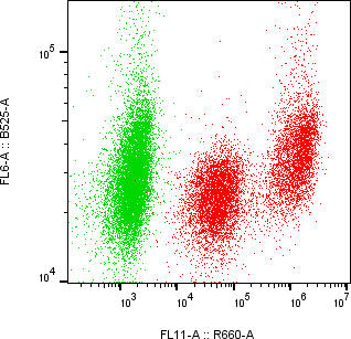 Rabbit-anti CD83 monoclonal antibody