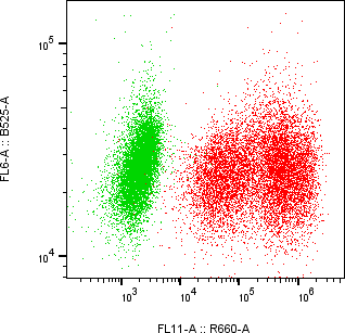 Rabbit-anti KLK6 monoclonal antibody