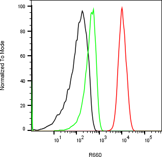Rabbit-anti KLK7 monoclonal antibody