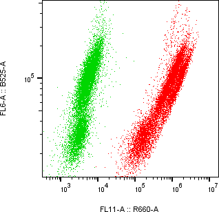 Rabbit-anti sclerostin monoclonal antibody
