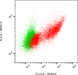 Rabbit-anti PSAP monoclonal antibody