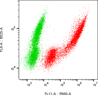 Rabbit-anti LAP-TGF-&beta;1 monoclonal antibody