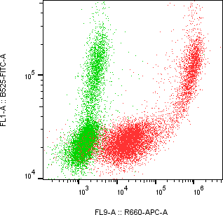 Rabbit-anti GFRA2 monoclonal antibody