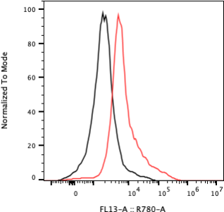 Rabbit-anti EPOR monoclonal antibody