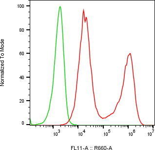 Rabbit-anti CD83 monoclonal antibody