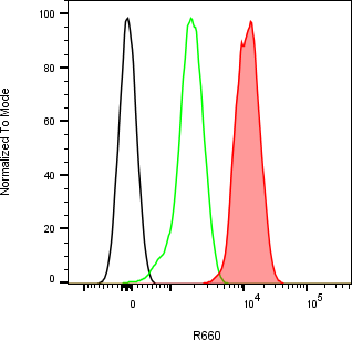 Rabbit-anti RAET1E monoclonal antibody