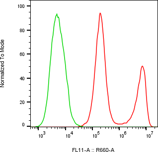 Rabbit-anti IFNA21 monoclonal antibody
