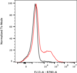 Rabbit-anti KIR2DL1 monoclonal antibody