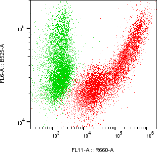 Rabbit-anti CTSE monoclonal antibody