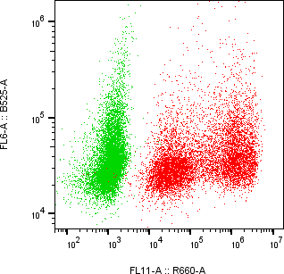 Rabbit-anti TREM1 monoclonal antibody