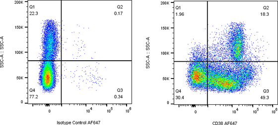 Rabbit-anti CD38 monoclonal antibody