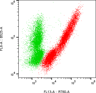 Rabbit-anti VEGFC monoclonal antibody