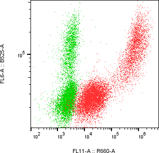 Rabbit-anti MSMB monoclonal antibody