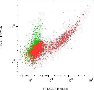 Rabbit-anti CDH16 monoclonal antibody