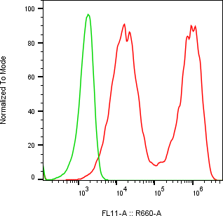 Rabbit-anti AZGP1 monoclonal antibody