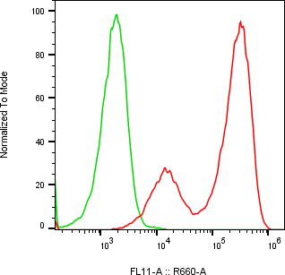 Rabbit-anti CTSO monoclonal antibody