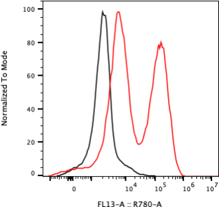 Rabbit-anti IFNA17 monoclonal antibody