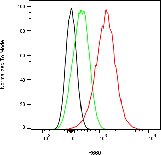 Rabbit-anti CHGA monoclonal antibody