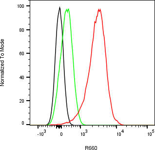 Rabbit-anti TNFRSF10C monoclonal antibody