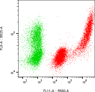 Rabbit-anti IL3 monoclonal antibody