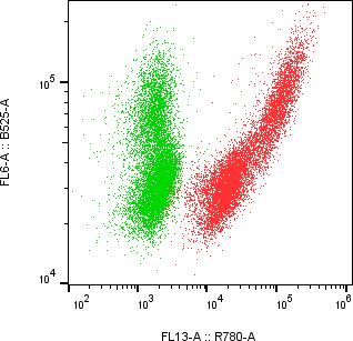 Rabbit-anti OSM monoclonal antibody