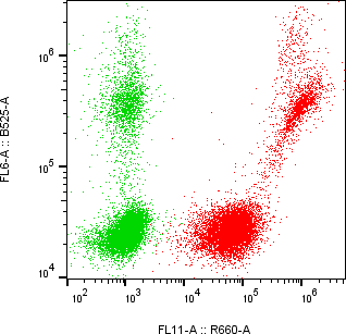 Rabbit-anti IL2RG monoclonal antibody