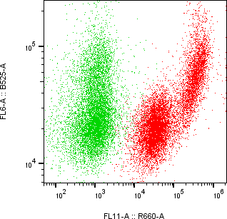 Rabbit-anti APOH monoclonal antibody