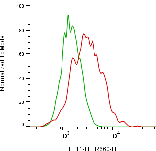 Rabbit-anti MICB monoclonal antibody