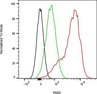 Rabbit-anti ATRAID (ECD 169AA) monoclonal antibody