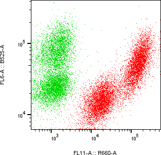 Rabbit-anti DEFB127 monoclonal antibody